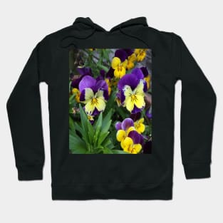 Happy Pansy Hoodie